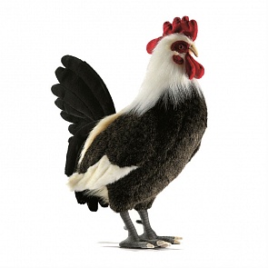 Мягкая игрушка – Петух, 43 см. (Hansa, 4170)